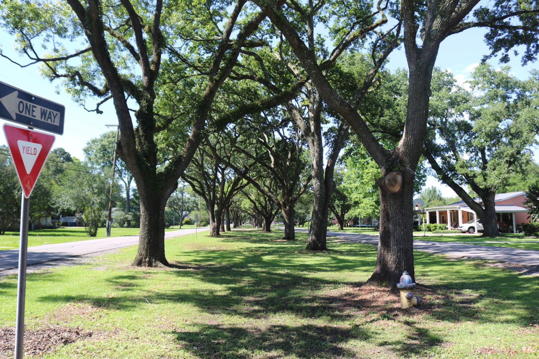 Whitehead Blvd.